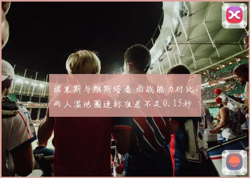 诺里斯与维斯塔潘 雨战能力对比，两人湿地圈速标准差不足0.15秒